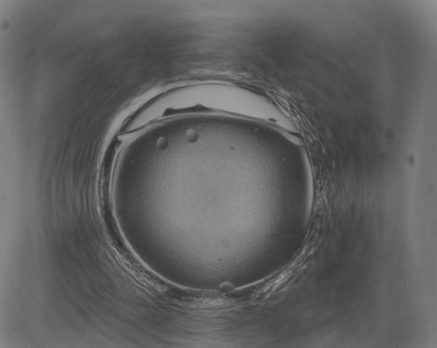 X0000083040342200702161712