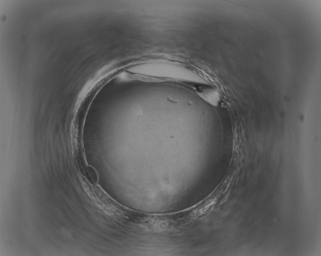 X0000083040343200702161712