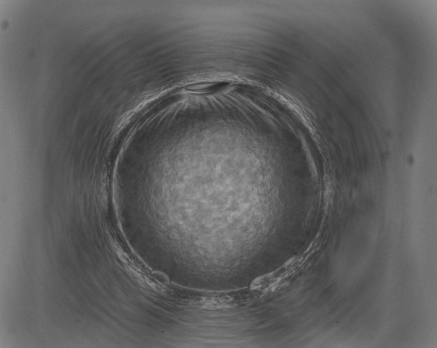 X0000083040345200702161712