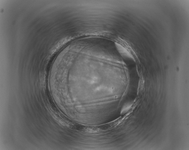 X0000083040346200702161712