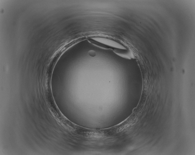 X0000083040347200702161712