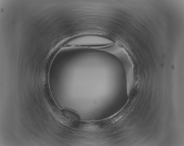 X0000083040348200702161712