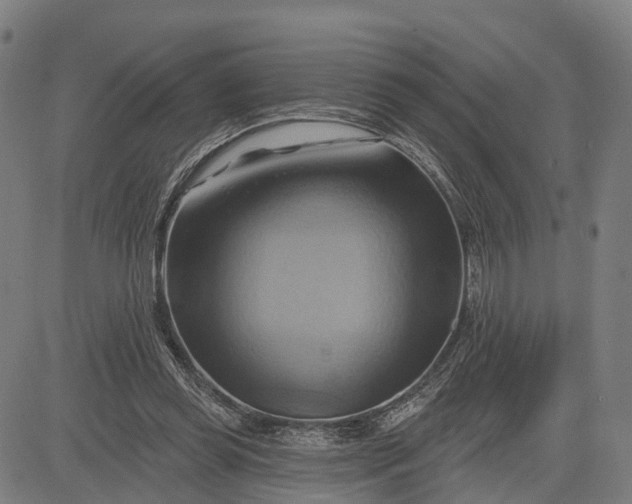 X0000083040349200702161712