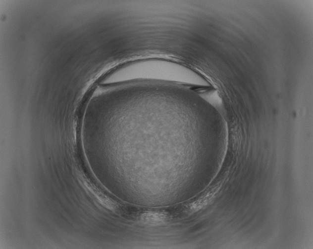 X0000083040350200702161712