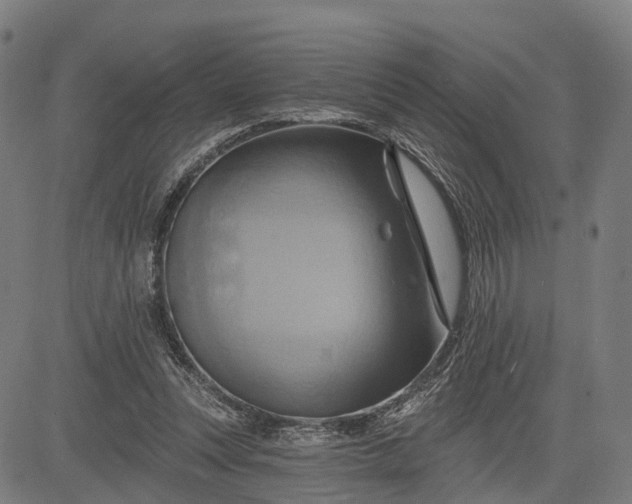 X0000083040351200702161712