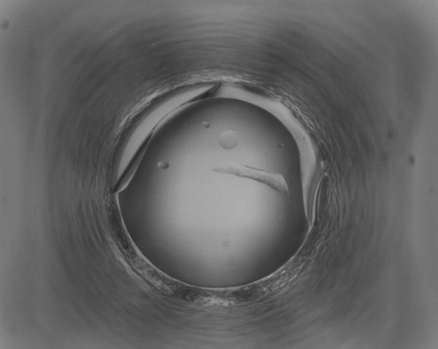 X0000083040352200702161712