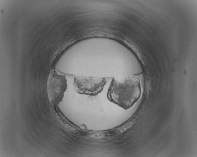 X0000083040353200702161712