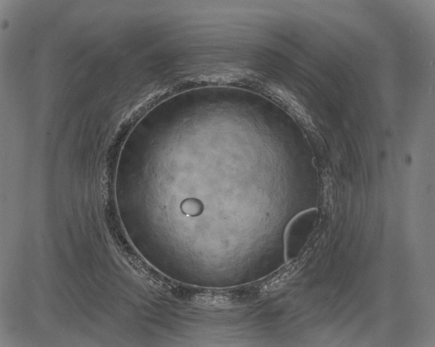 X0000083040354200702161712