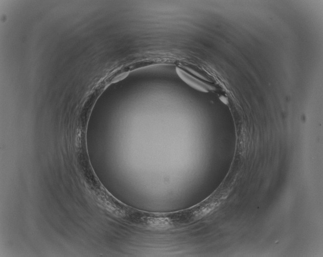 X0000083040355200702161712