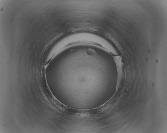 X0000083040356200702161712