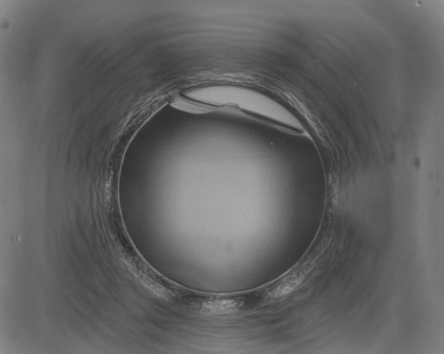 X0000083040357200702161712