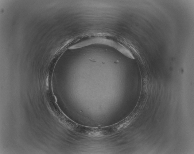 X0000083040358200702161712