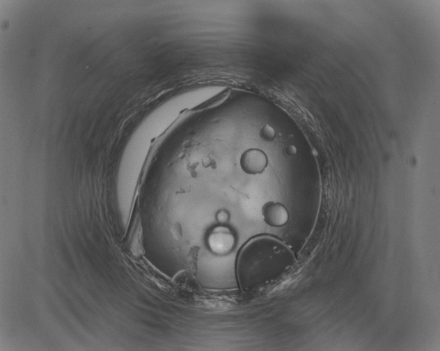 X0000083040359200702161712