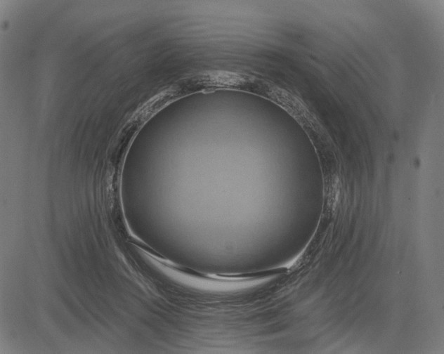 X0000083040360200702161712