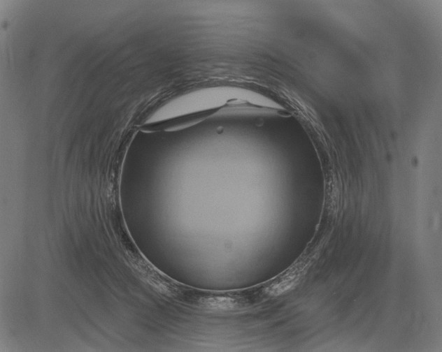 X0000083040361200702161712