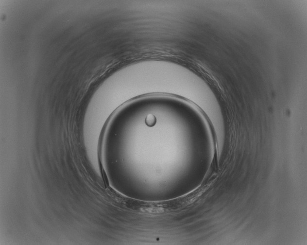 X0000083040362200702161712