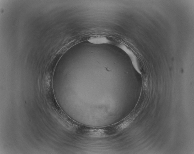 X0000083040363200702161712