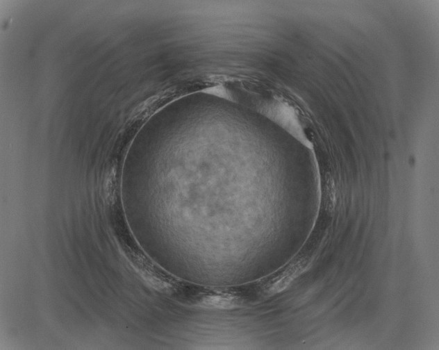 X0000083040364200702161712