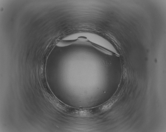 X0000083040365200702161712