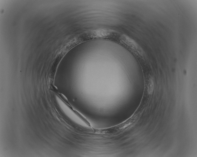 X0000083040366200702161712