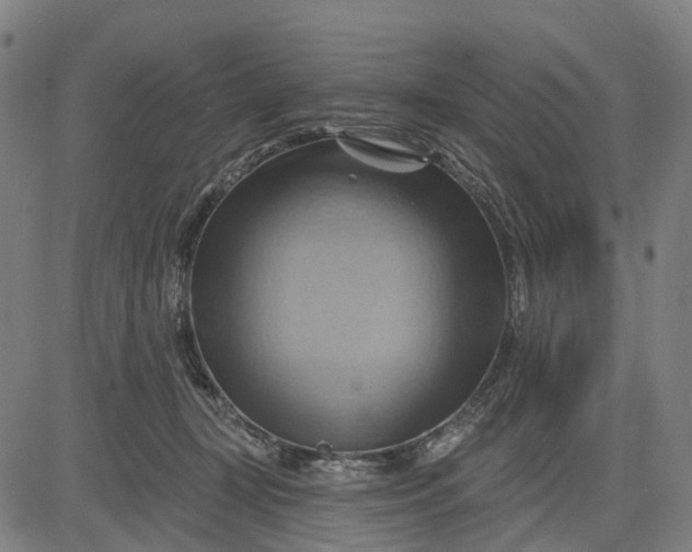 X0000083040367200702161712