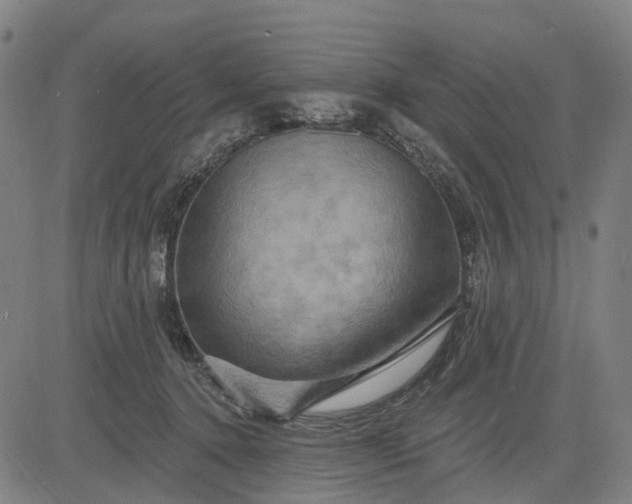 X0000083040368200702161712