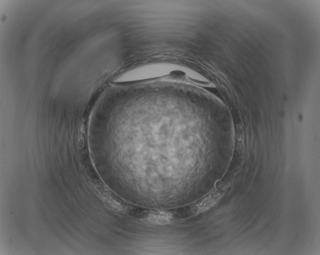 X0000083040369200702161712