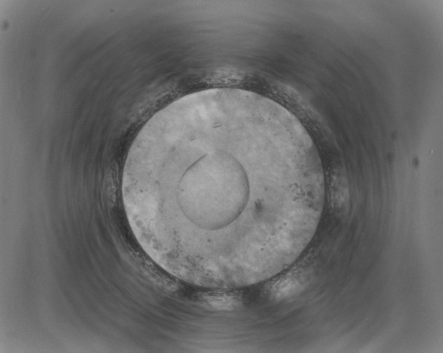 X0000083040370200702161712