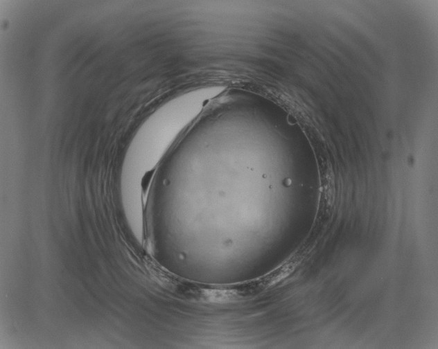 X0000083040371200702161712