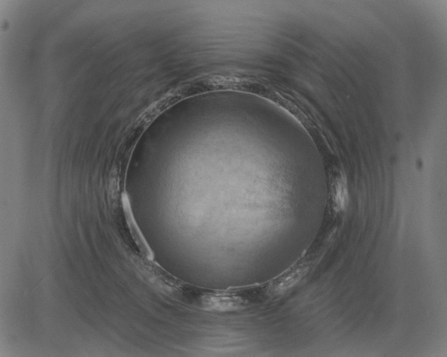 X0000083040372200702161712