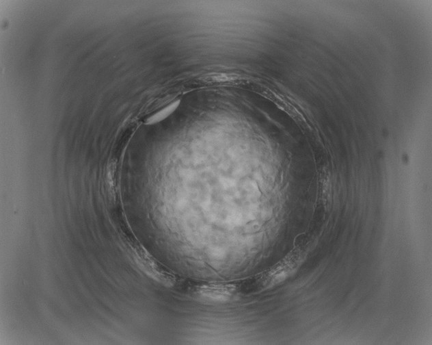 X0000083040373200702161712