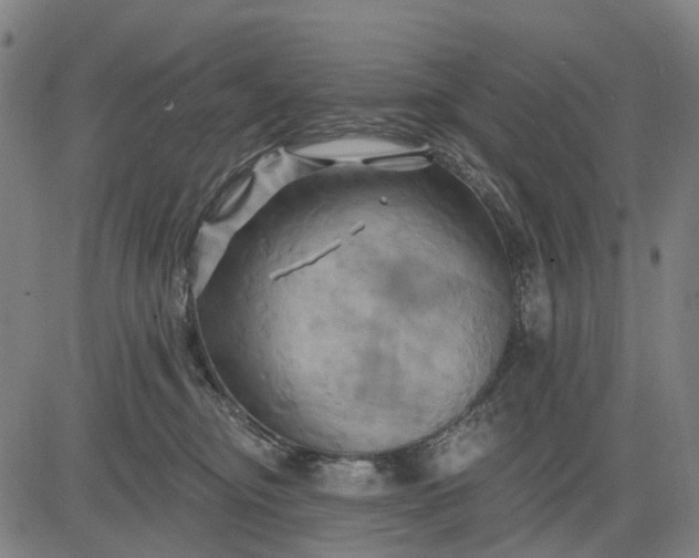 X0000083040374200702161712