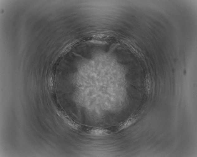 X0000083040375200702161712