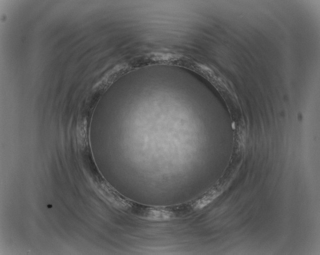 X0000083040376200702161712