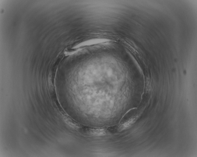 X0000083040377200702161712