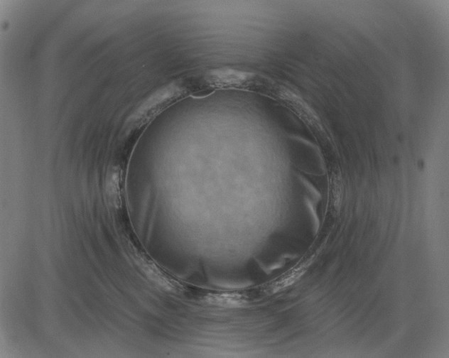 X0000083040378200702161712