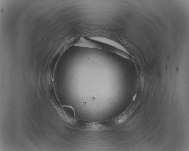 X0000083040379200702161712