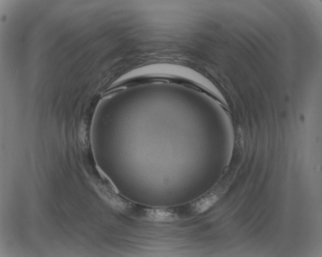 X0000083040380200702161712