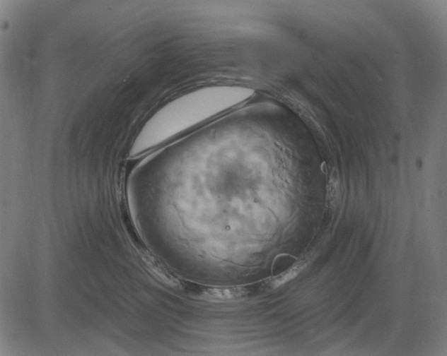 X0000083040381200702161712