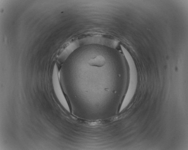 X0000083040382200702161712