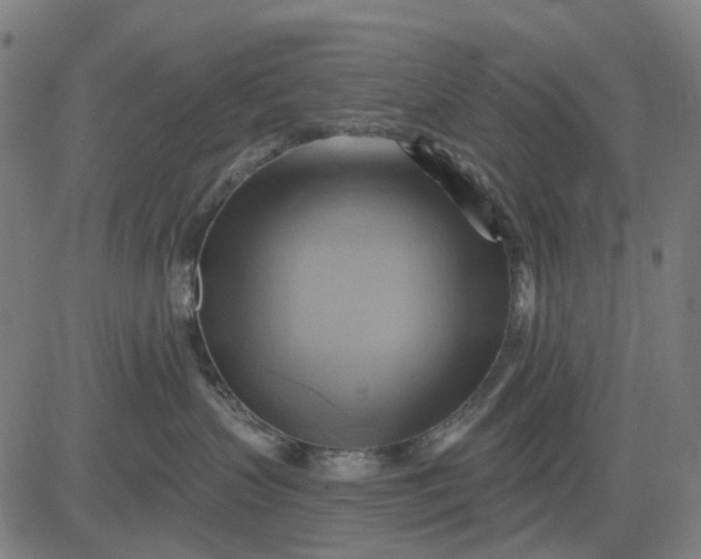 X0000083040383200702161712