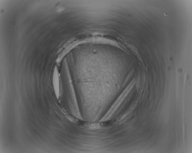 X0000083040384200702161712