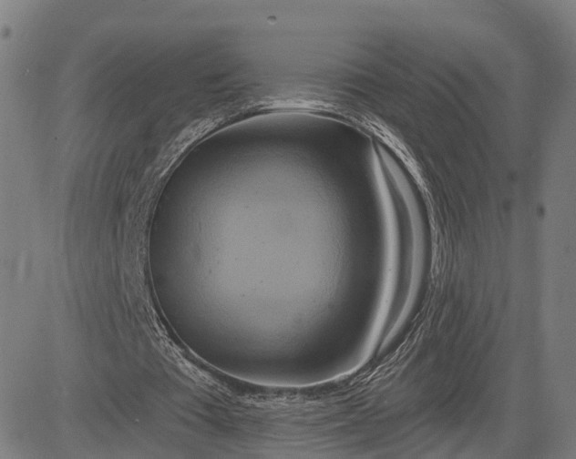 X0000083040385200702161712