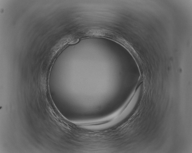 X0000083040386200702161712