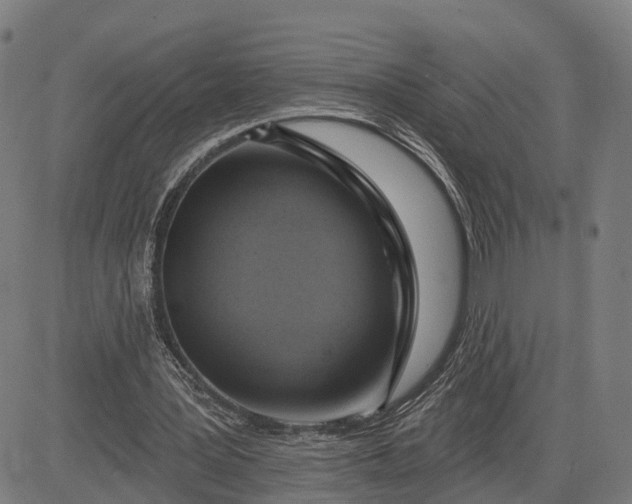 X0000083040387200702161712