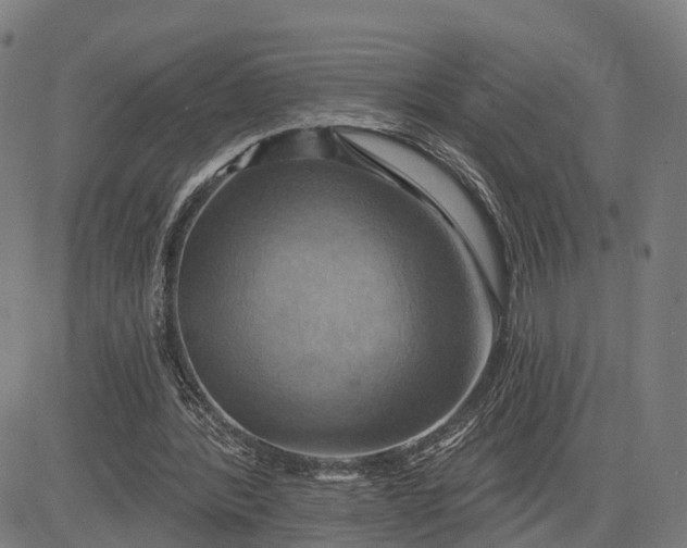 X0000083040388200702161712