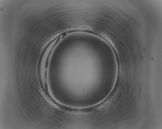 X0000083040389200702161712