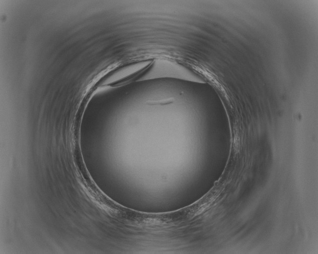 X0000083040390200702161712