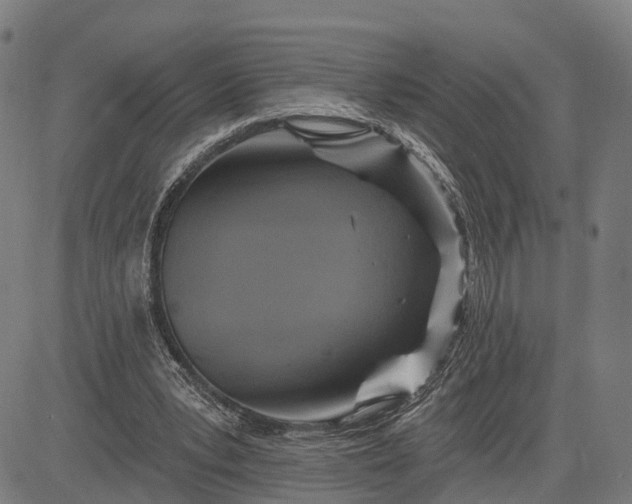 X0000083040391200702161712