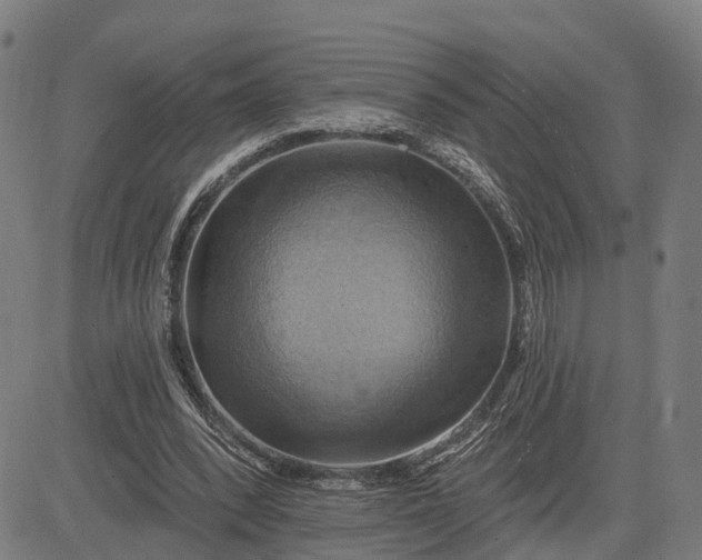 X0000083040392200702161712